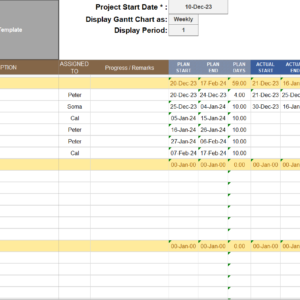 project management template